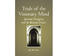 KNYGA Bookshop Trials of the Visionary Mind