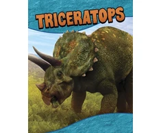 KNYGA Bookshop Triceratops