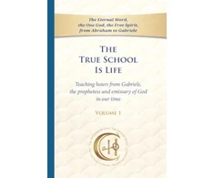 KNYGA Bookshop True School Is Life, Volume 1