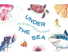KNYGA Bookshop Under the Sea
