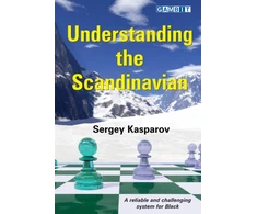 KNYGA Bookshop Understanding the Scandinavian