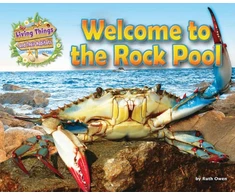 KNYGA Bookshop Welcome to the Rock Pool