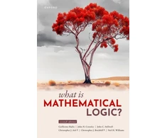 KNYGA Bookshop What Is Mathematical Logic?