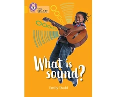 KNYGA Bookshop What is sound?