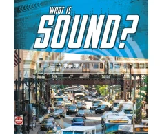 KNYGA Bookshop What Is Sound?
