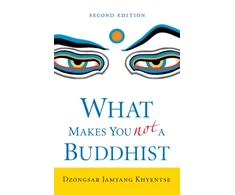 KNYGA Bookshop What Makes You Not a Buddhist