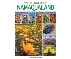 KNYGA Bookshop Wild Flowers of Namaqualand