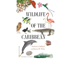KNYGA Bookshop Wildlife of the Caribbean