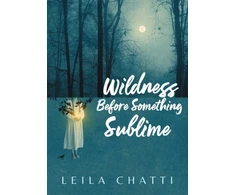 KNYGA Bookshop Wildness Before Something Sublime