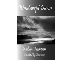 KNYGA Bookshop Windswept Dawn