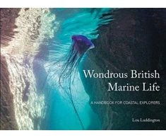 KNYGA Bookshop Wondrous British Marine Life
