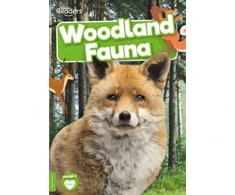 KNYGA Bookshop Woodland Fauna