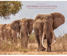 KNYGA George Dian Balan The World As It Once Was