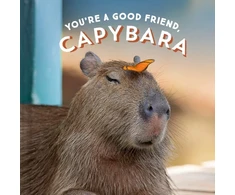 KNYGA Bookshop You're a Good Friend, Capybara