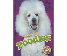 KNYGA Breanna Berry Poodles
