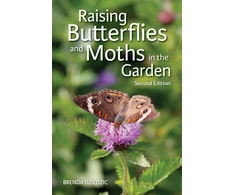 KNYGA Brenda Dziedzic Raising Butterflies and Moths in the Garden