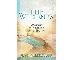 KNYGA Brian Simmons Wilderness: Where Miracles are Born