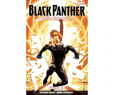 KNYGA Brian Stelfreeze Juodas Panther: A Nation Under Our Feet Vol. 2
