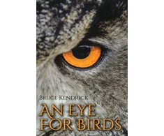 KNYGA Bruce Kendrick Eye for Birds