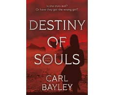 KNYGA Carl Bayley Destiny of Souls