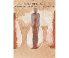 KNYGA Carlos Basualdo River of Forms
