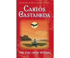 KNYGA Carlos Castaneda Fire from within