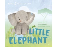 KNYGA Carmen Saldana Little Elephant