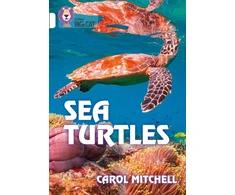 KNYGA Carol Mitchell Sea Turtles