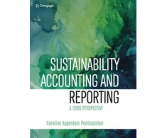 KNYGA Caroline Aggestam Pontoppidan Sustainability Accounting and Reporting