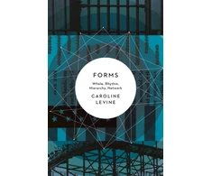 KNYGA Caroline Levine Forms