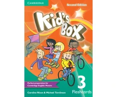 KNYGA Caroline Nixon Kid's Box Level 3 Flashcards (pack of 109)