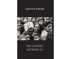 KNYGA Carolyn Forche Country Between Us