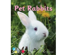 KNYGA Cath Jones Pet Rabbits