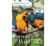 KNYGA Catherine Ann Toft Parrots of the Wild