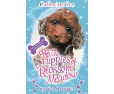 KNYGA Catherine Coe Sprite Surprise