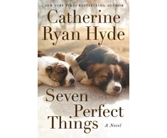 KNYGA Catherine Ryan Hyde Seven Perfect Things