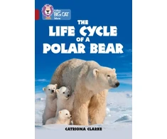 KNYGA Catronia Clarke Life Cycle of a Polar Bear