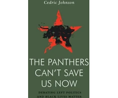KNYGA Cedric Johnson Panthers Can't Save Us Now