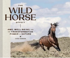 KNYGA Chad Hanson Wild Horse Effect