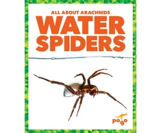 KNYGA Chanez Vanduo Spiders