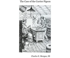 KNYGA Morgan Case of the Carrier Pigeon