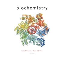 KNYGA Charles M Grisham Biochemistry