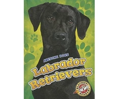 KNYGA Chris Bowman Labrador Retrievers
