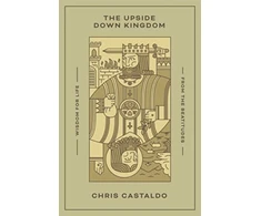 KNYGA Chris Castaldo Upside Down Kingdom