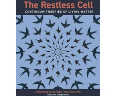 KNYGA Christina Hueschen Restless Cell