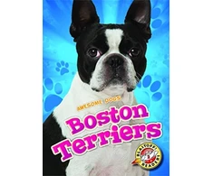 KNYGA Christina Leaf Boston Terriers