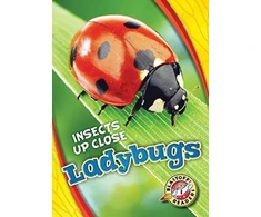 KNYGA Christina Leaf Ladybugs