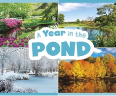 KNYGA Christina Mia Gardeski Year in the Pond
