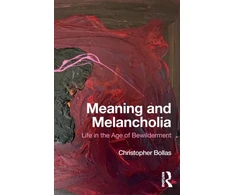 KNYGA Christopher Bollas Meaning and Melancholia