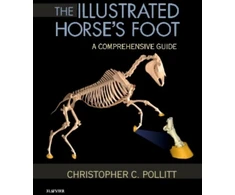 KNYGA Christopher C Pollitt Illustrated Horse's Foot